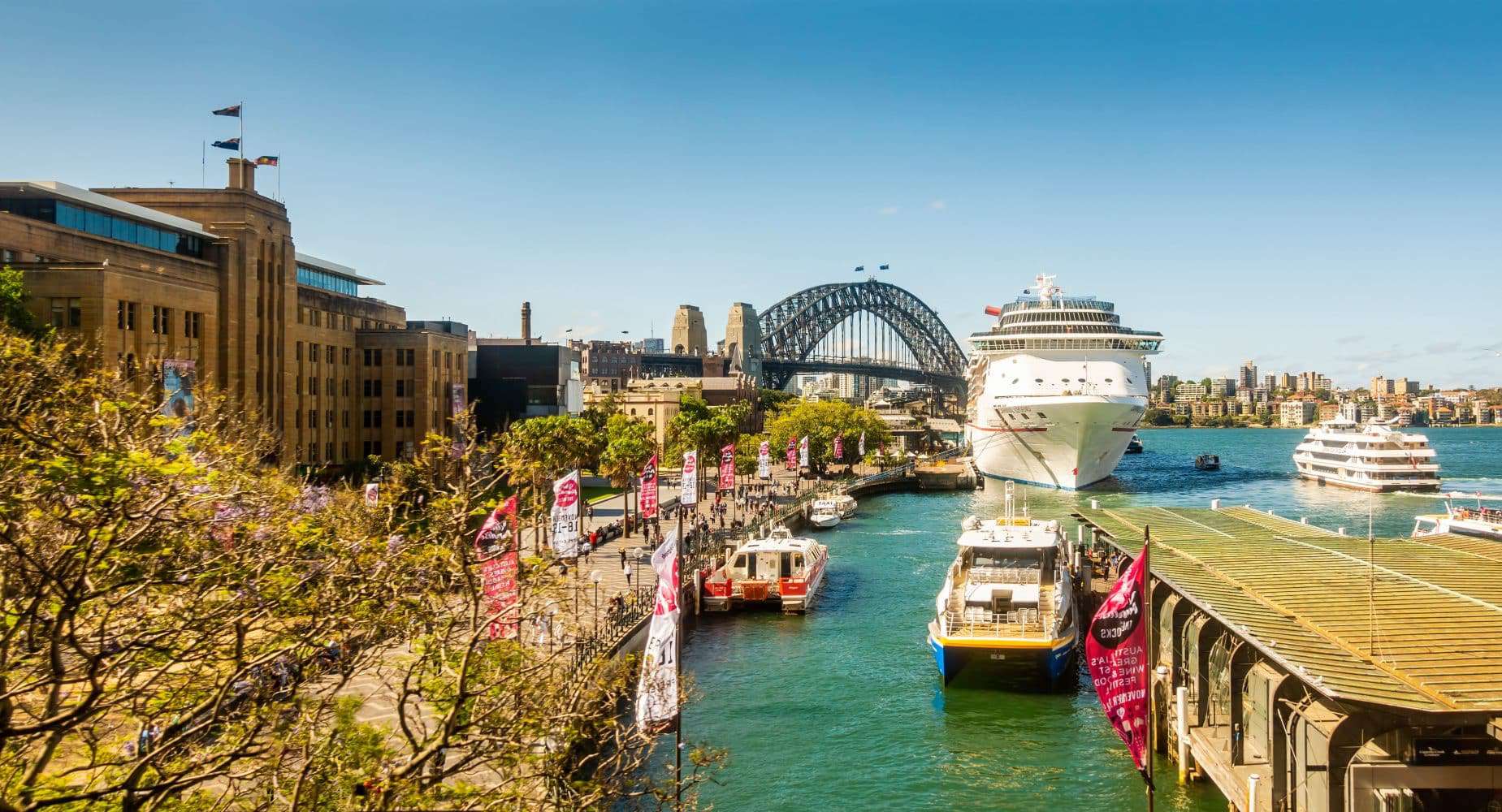 sydney day cruise deals