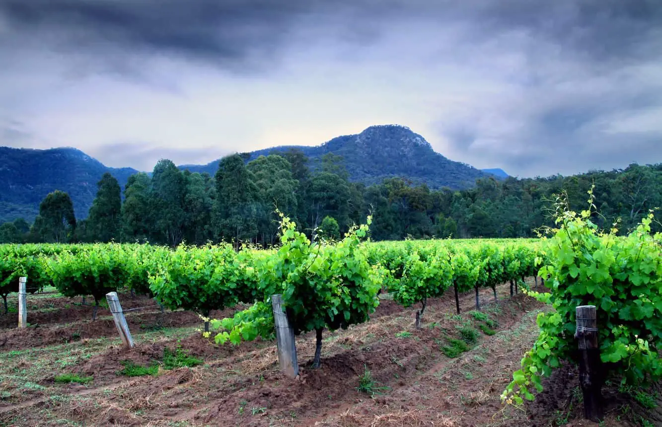 tours to hunter valley from sydney