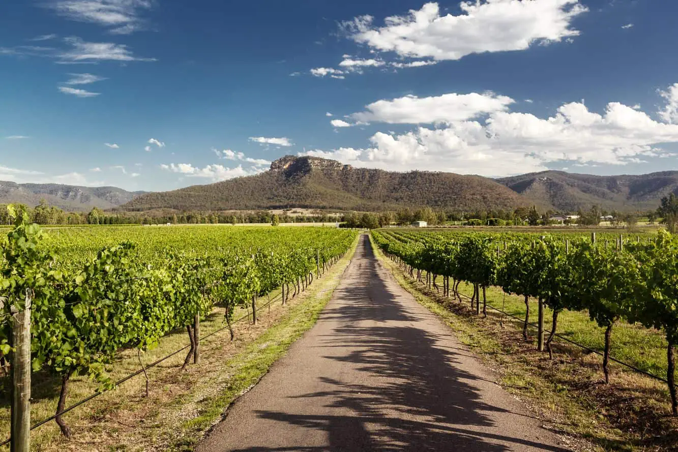 tours to hunter valley from sydney