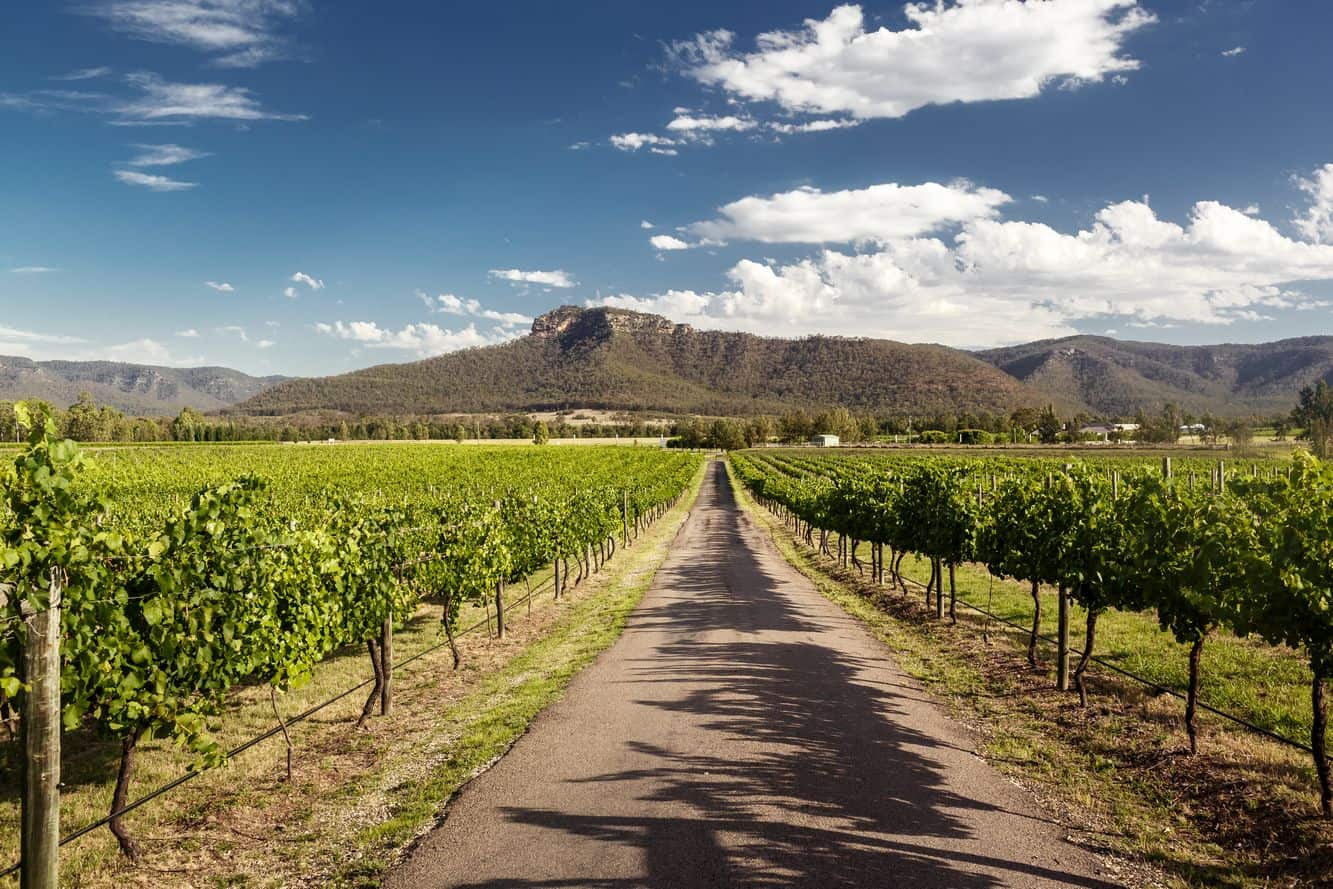 tours to hunter valley from sydney