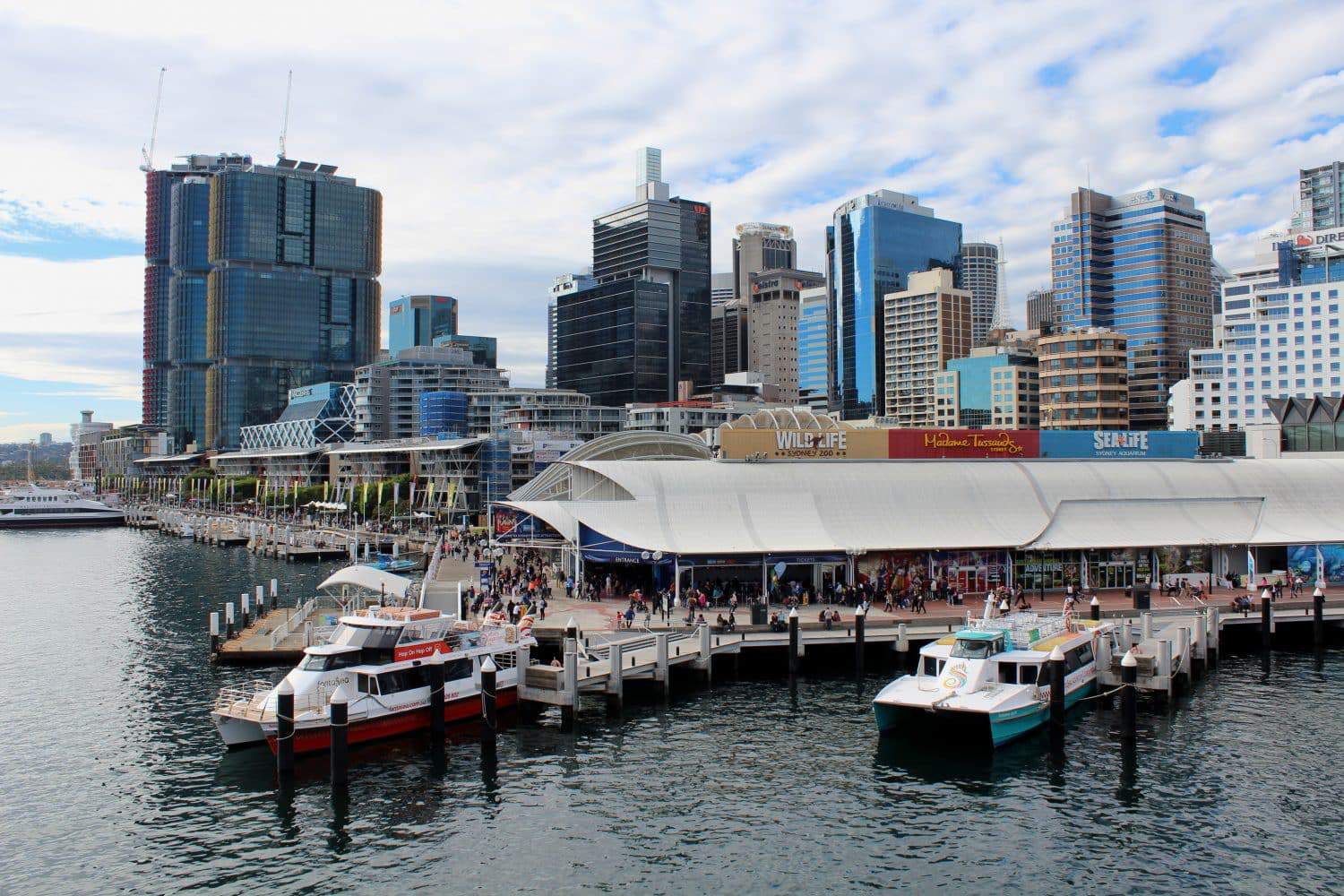Sydney Whale Watching - Best Times, Season Tours & Cruises Deals