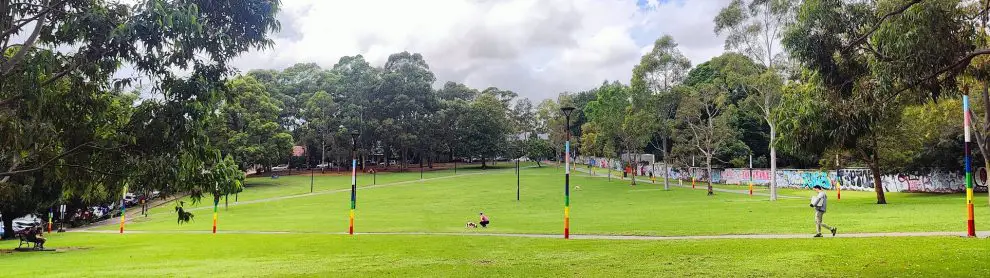 Newton