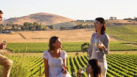 Hunter Valley Wine Tours