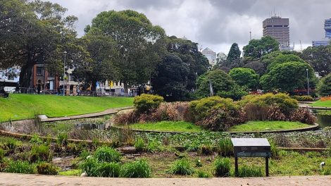 Camperdown