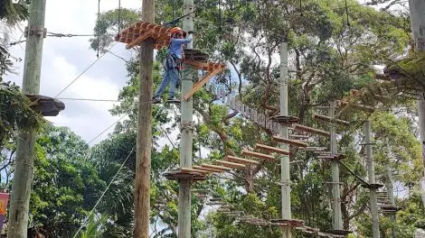 Wild Ropes At Taronga Zoo