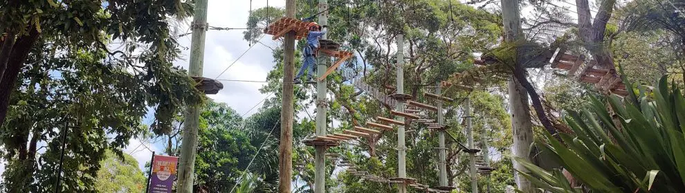 Wild Ropes At Taronga Zoo