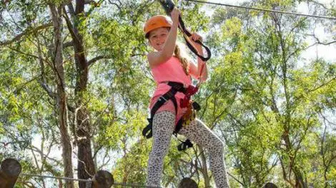 Treetop Adventure Park Central Coast