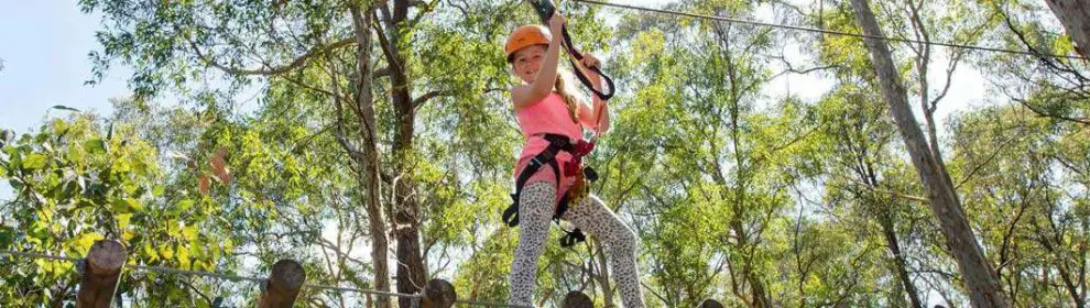 Treetop Adventure Park Central Coast