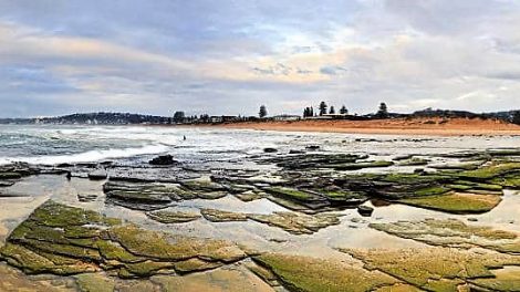 Collaroy Beach