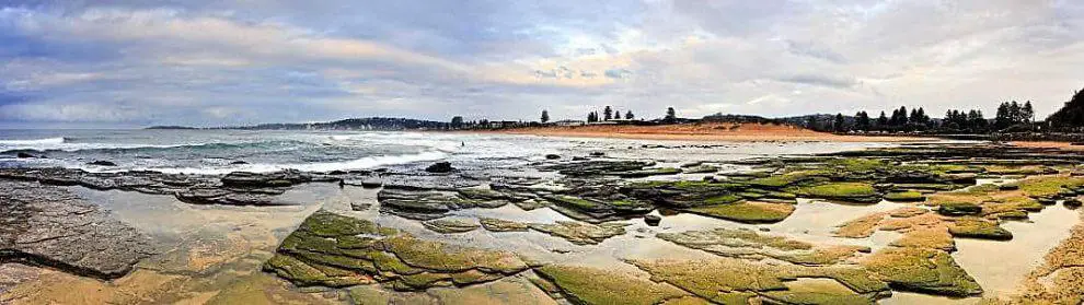 Collaroy Beach