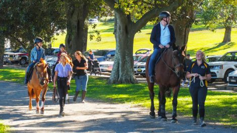 Horse Riding