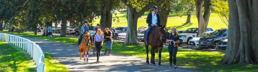 Horse Riding