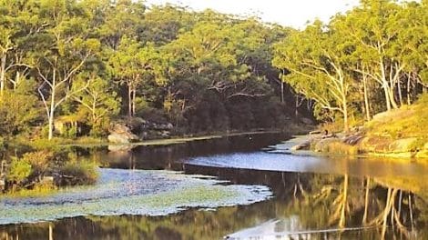 Lake Parramatta Reserve