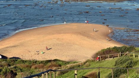 Long Reef Beach