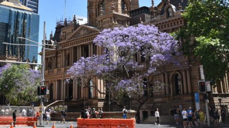 Sydney Town Hall