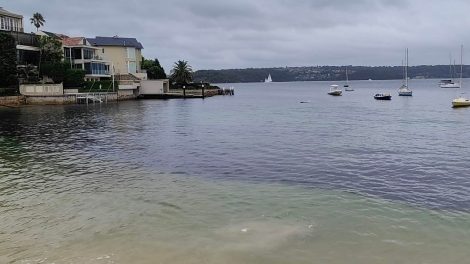 Lady Martins Beach