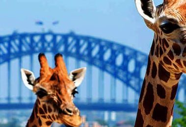 Taronga Zoo