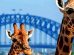 Taronga Zoo