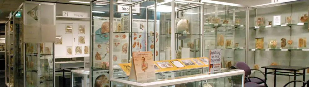 Museum Of Human Disease