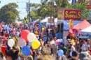 Gymea Village Fair