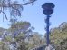 Illawarra Fly Treetop Adventures