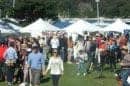 Mudgee Wine And Food Festival
