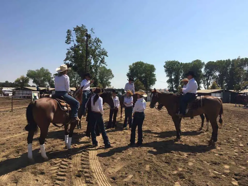 NCHA Futurity 2024 Dates, Tickets, Program & Prices, Tamworth NSW