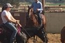 Ncha Futurity