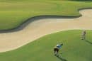 Nsw Open Golf Championship