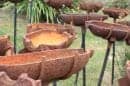 Sculpture In The Vineyards