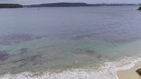 Lady Bay