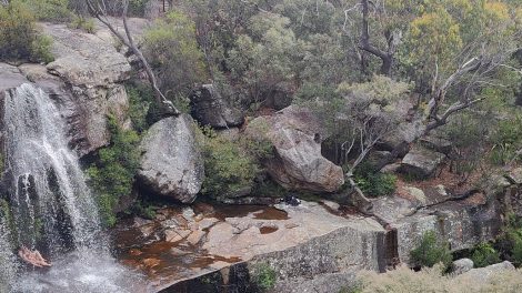 Dharawal National Park