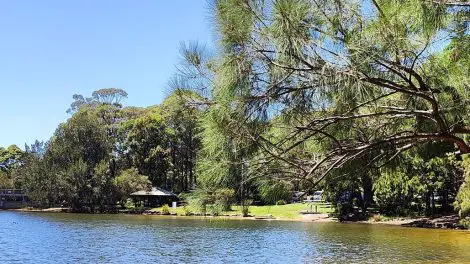 Manly Dam
