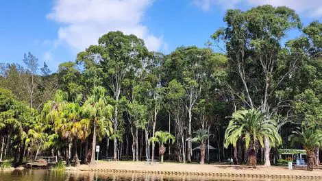 Nurragingy Reserve