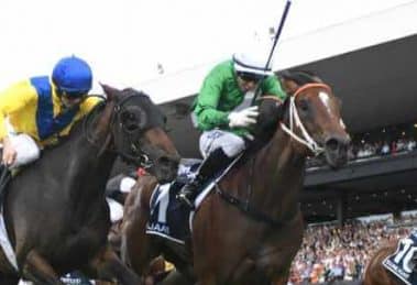 Golden Slipper