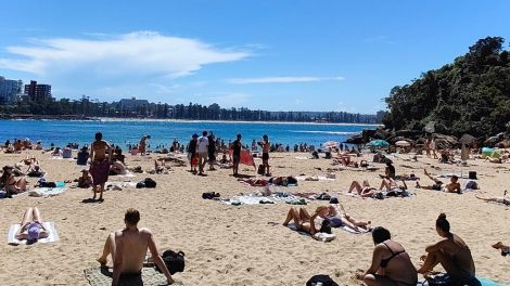 Shelly Beach