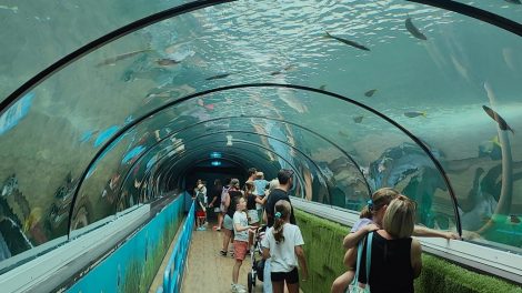 Sea Life Sydney Aquarium