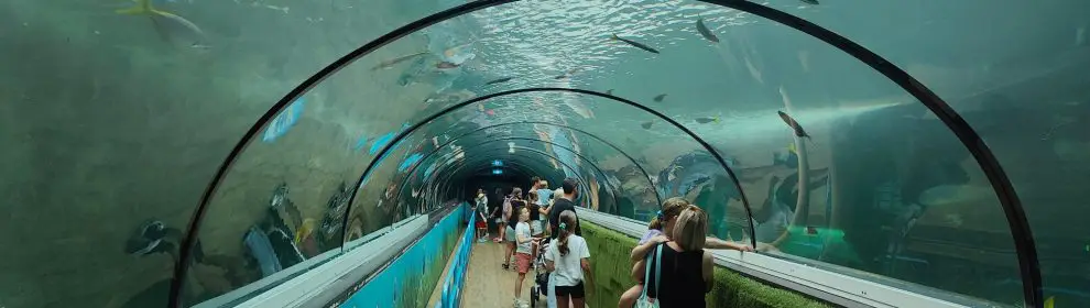 Sea Life Sydney Aquarium