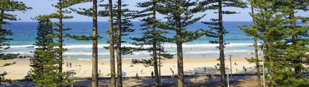 Manly Beach