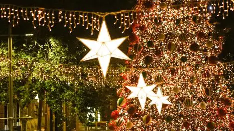 Martin Place Christmas Tree & Fairy Lights