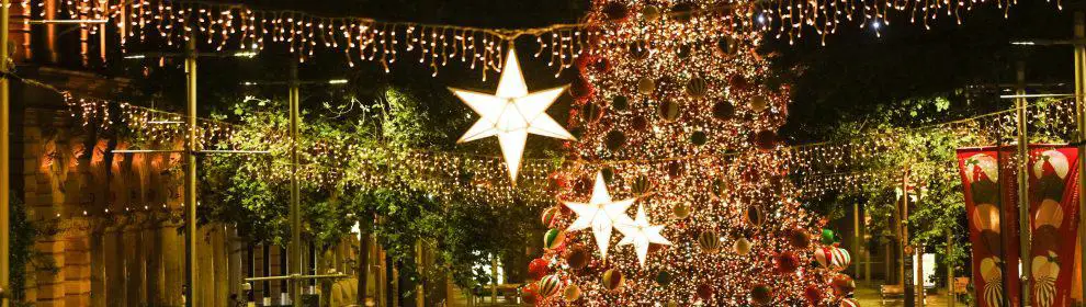 Martin Place Christmas Tree & Fairy Lights