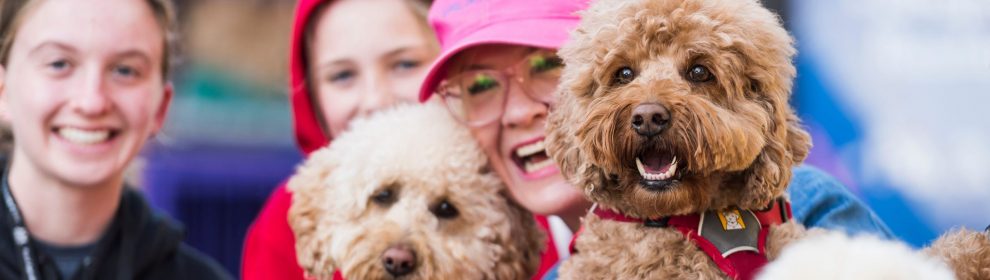 sydney dog lovers show